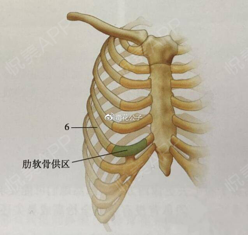 网红医院喜欢推荐肋骨鼻综合