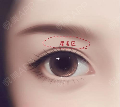 15 眉毛到眼睛的距离15 眉眼间距与眼睛大小的比例,一般标准比例